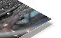 FPS-0083 HD Metal print