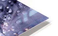 FPS-0084 HD Metal print