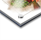 Argentine Giant Flower Bloom 1 Acrylic print