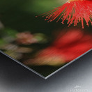 Ferry Duster Bloom 2 Metal print