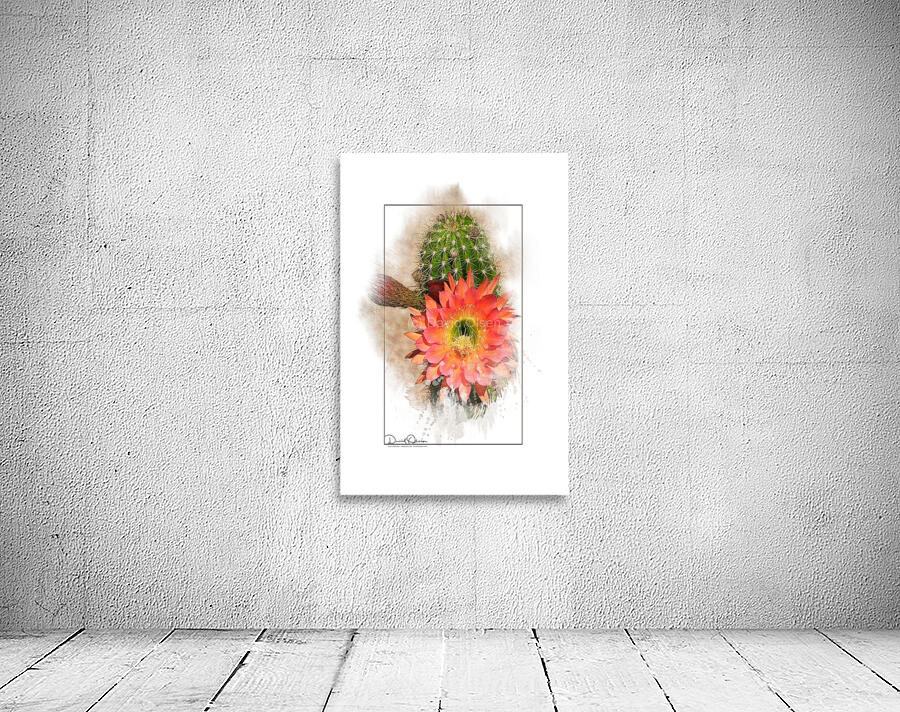 Argentine Giant Flower Bloom 1 Wall Preview