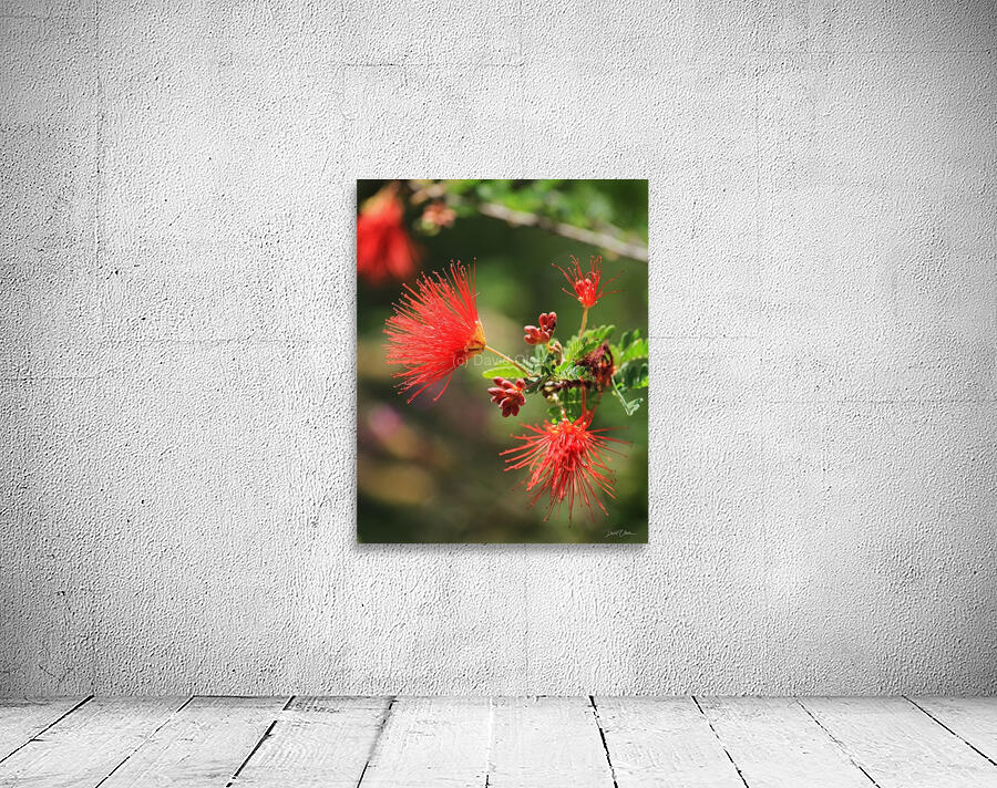 Ferry Duster Bloom 2 Wall Preview