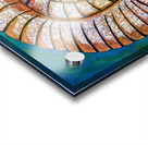 Shell Acrylic print