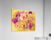 Pansies Acrylic Print