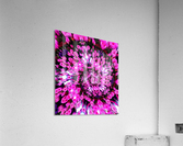 Getting Lost in Pink Acrylic Print