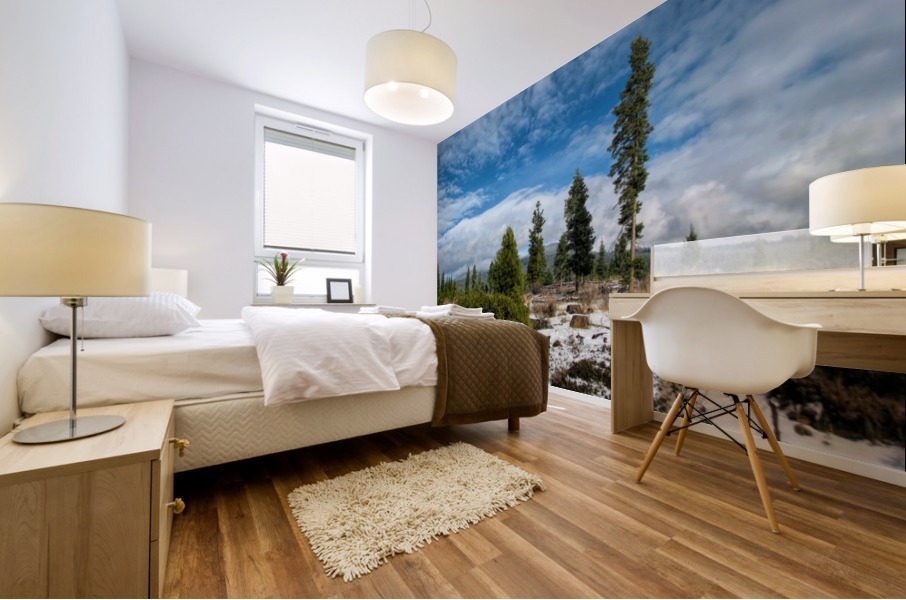 Willow Valley Oregon Mural print