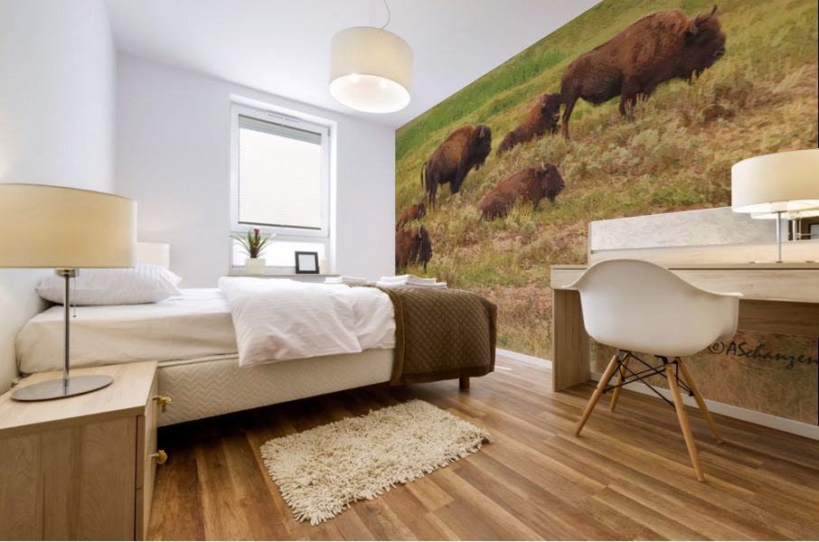 Bison Herd Mural print