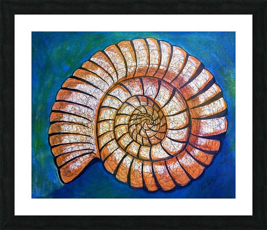 Shell Picture Frame print