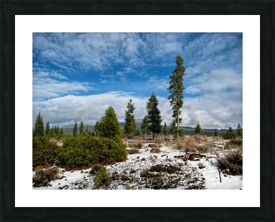 Willow Valley Oregon Picture Frame print