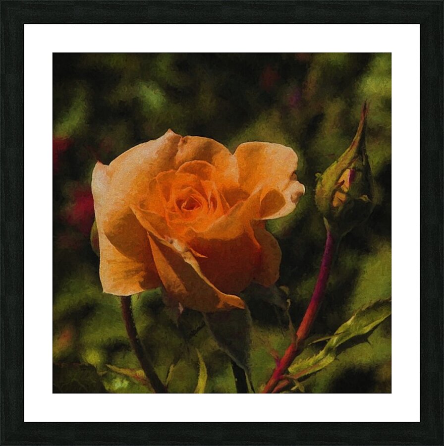 Orange Delight Picture Frame print