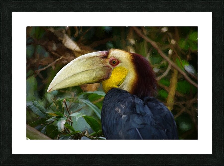 Toucan Picture Frame print