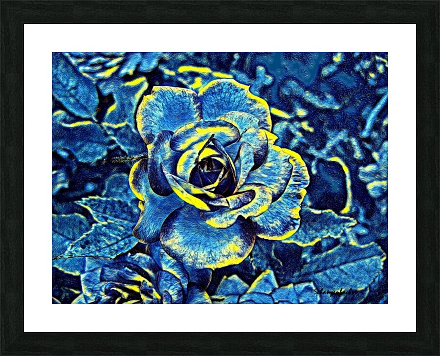 Blue Rose Picture Frame print