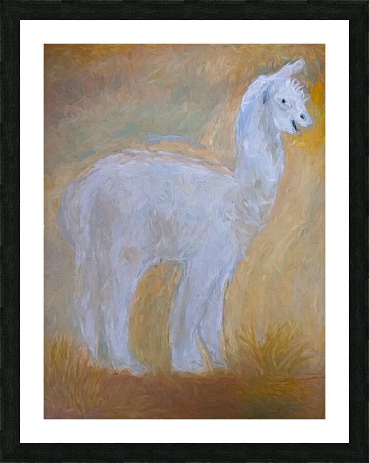 LLama Picture Frame print
