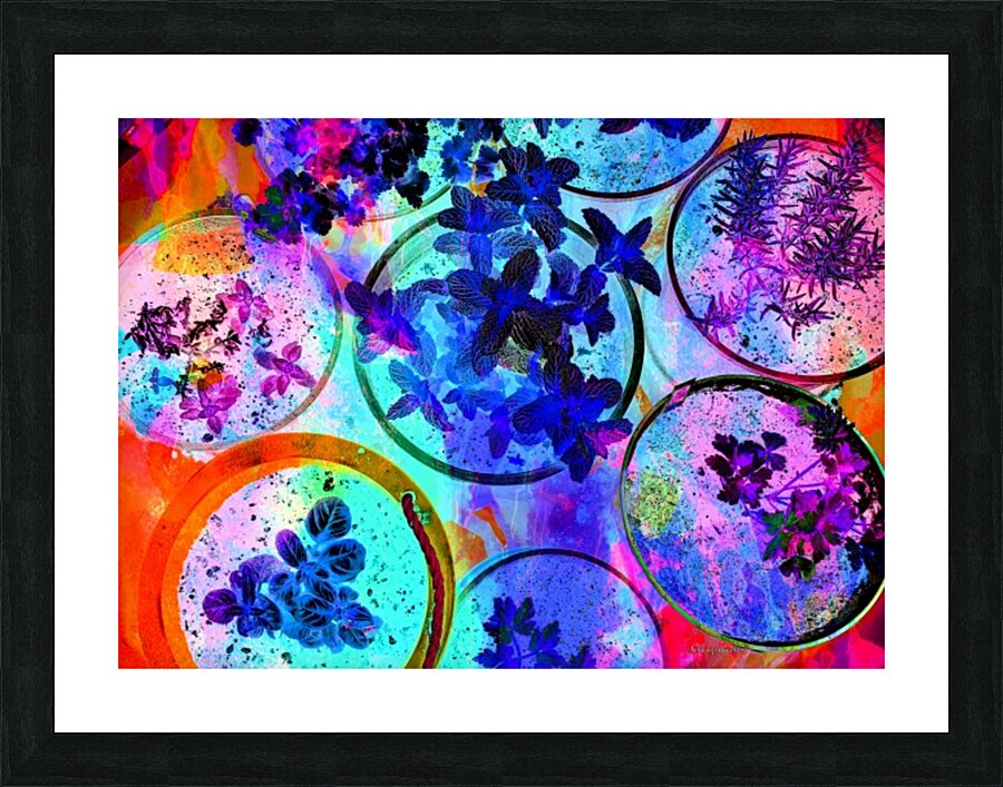 Psychedelic Herbs Picture Frame print