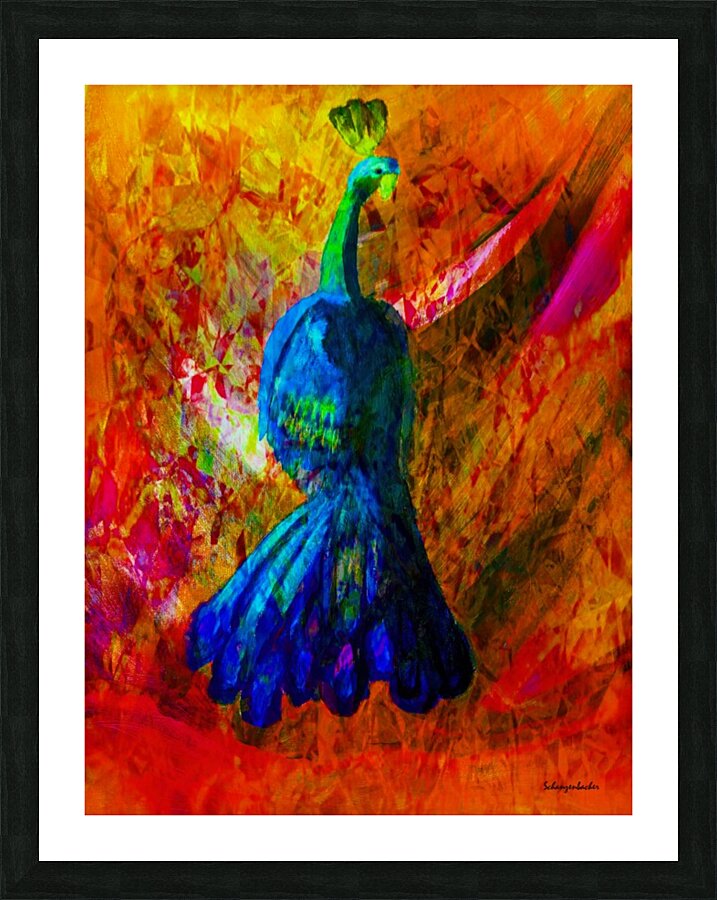 Peacock Picture Frame print
