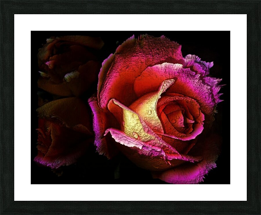 Textured Rose Picture Frame print