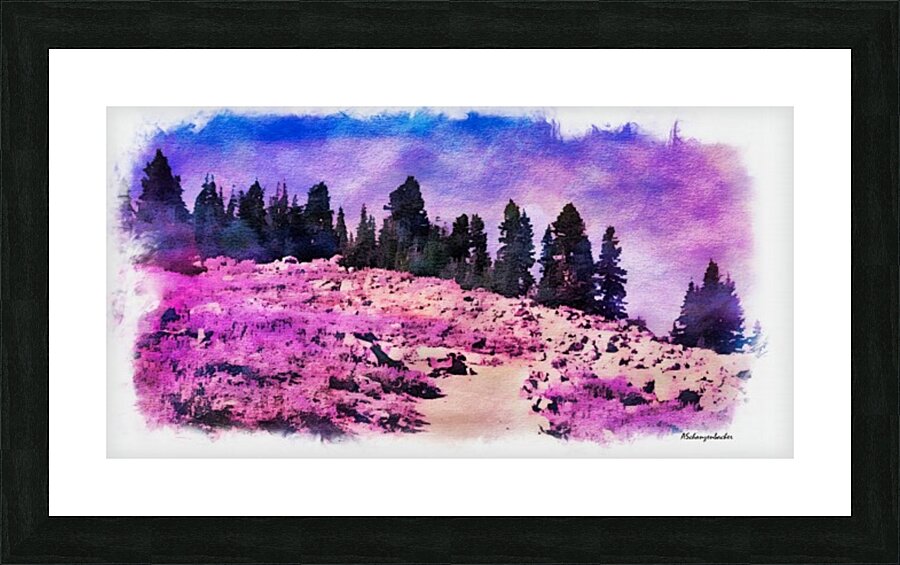 Lavender Field Picture Frame print