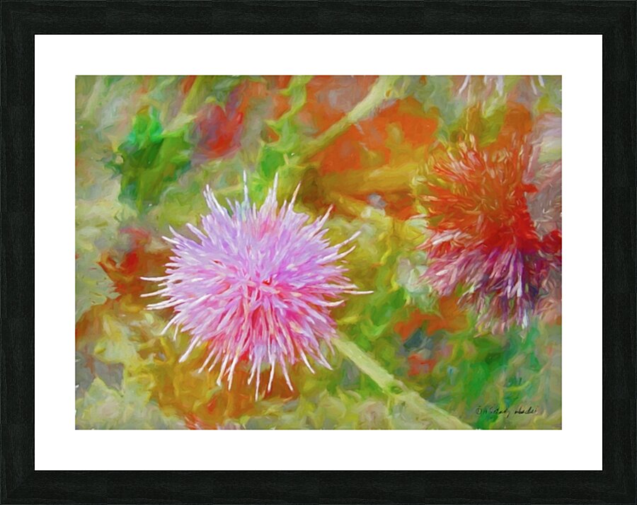 Bachelors Button Flower Picture Frame print