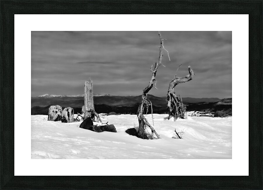 Cedar Breaks National Monument - Brian Head Mountain UT by Aurelia Schanzenbacher