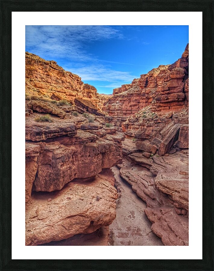 Cathedral Wash - Glen Canyon National Area by Aurelia Schanzenbacher