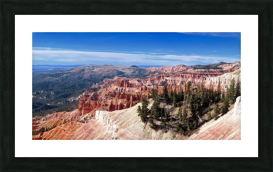 Cedar Breaks National Monument Utah USA by Aurelia Schanzenbacher