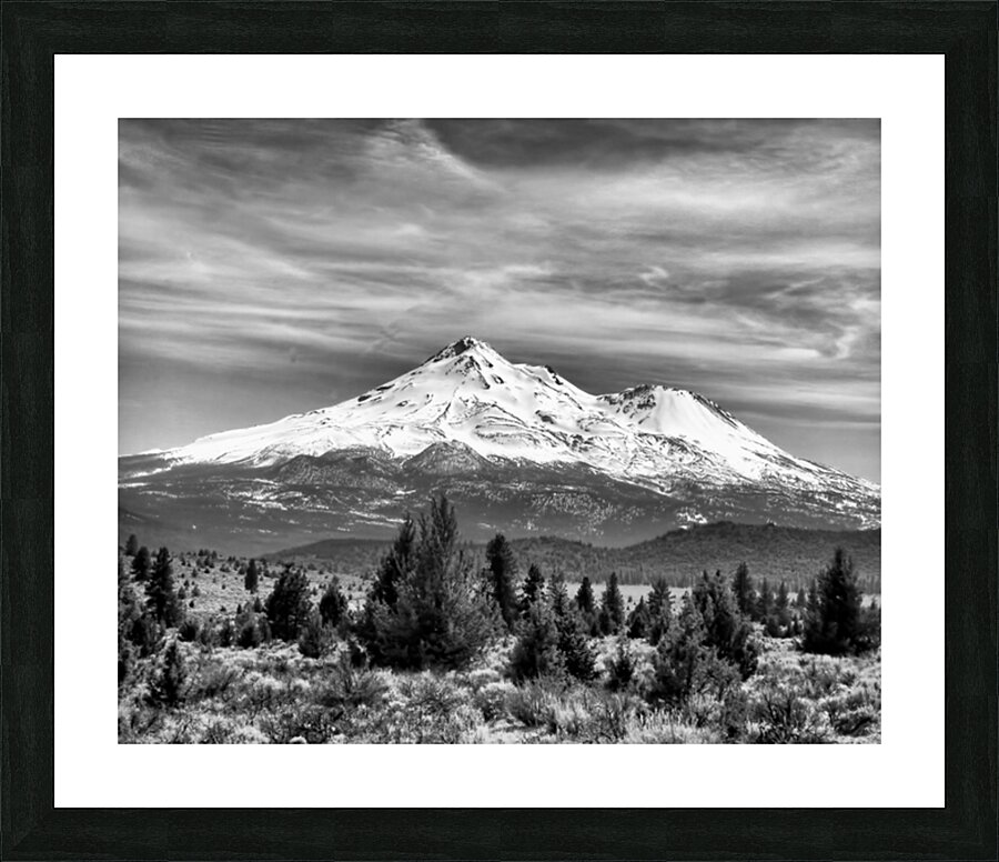 Mount Shasta Mountain Black and White by Aurelia Schanzenbacher