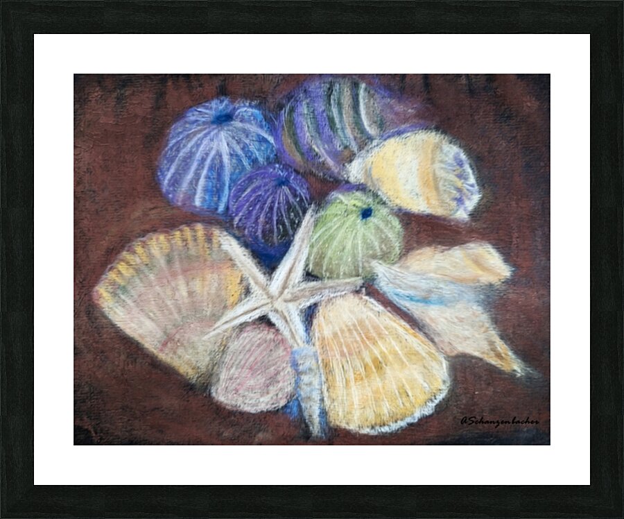 Sea Shells Picture Frame print