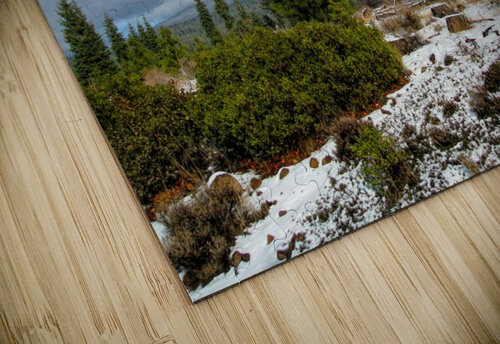 Willow Valley Oregon Aurelia Schanzenbacher puzzle