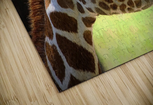 Giraffe  Aurelia Schanzenbacher puzzle