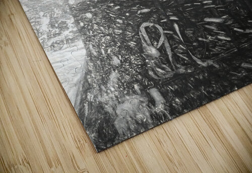 In the Storm Aurelia Schanzenbacher puzzle
