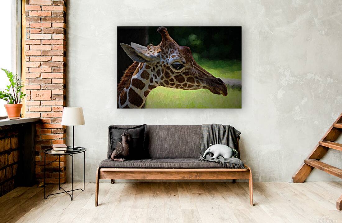 Giraffe  Reproduction