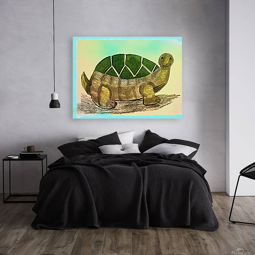 Turtle  Reproduction