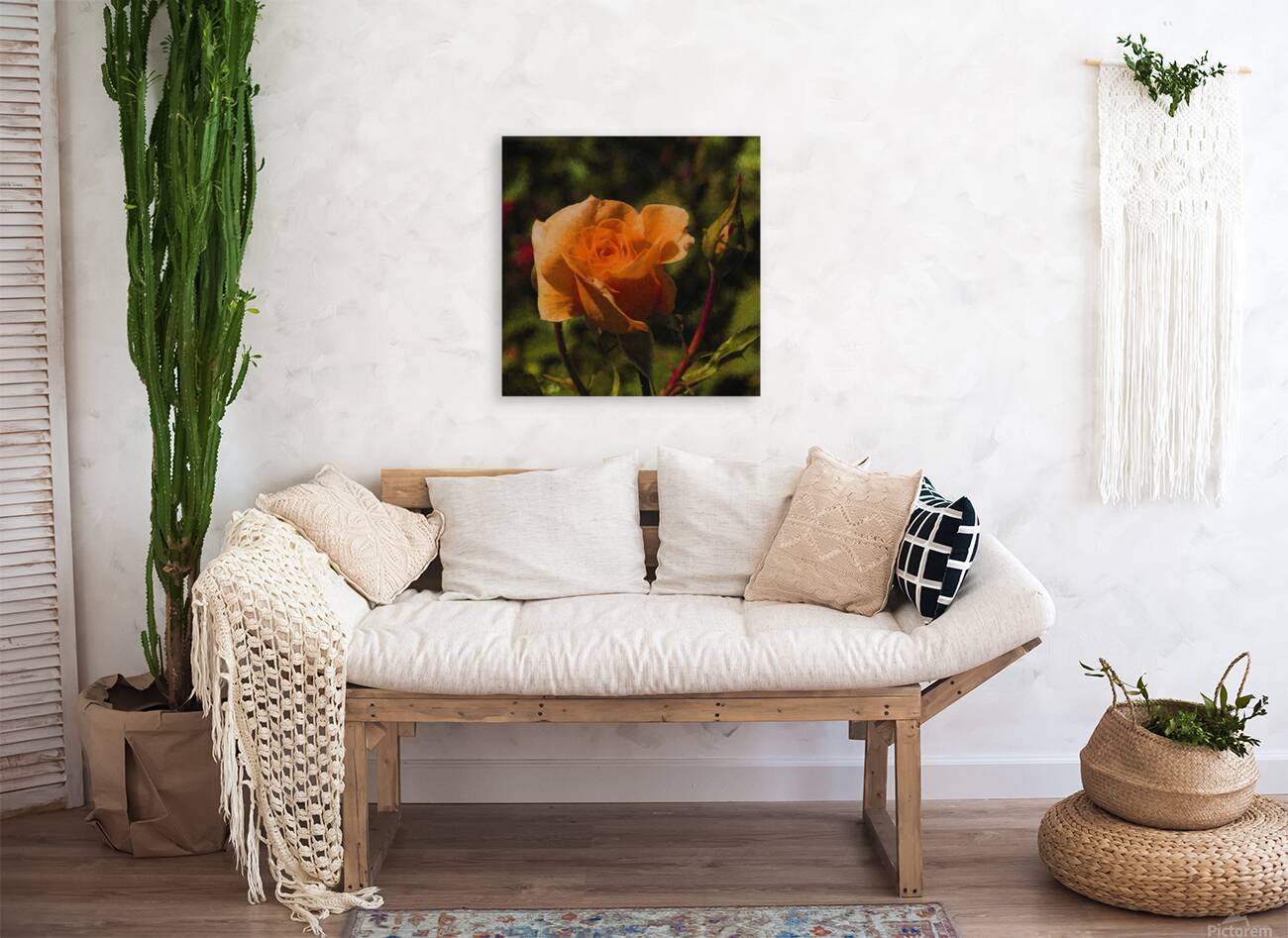 Orange Delight Reproduction