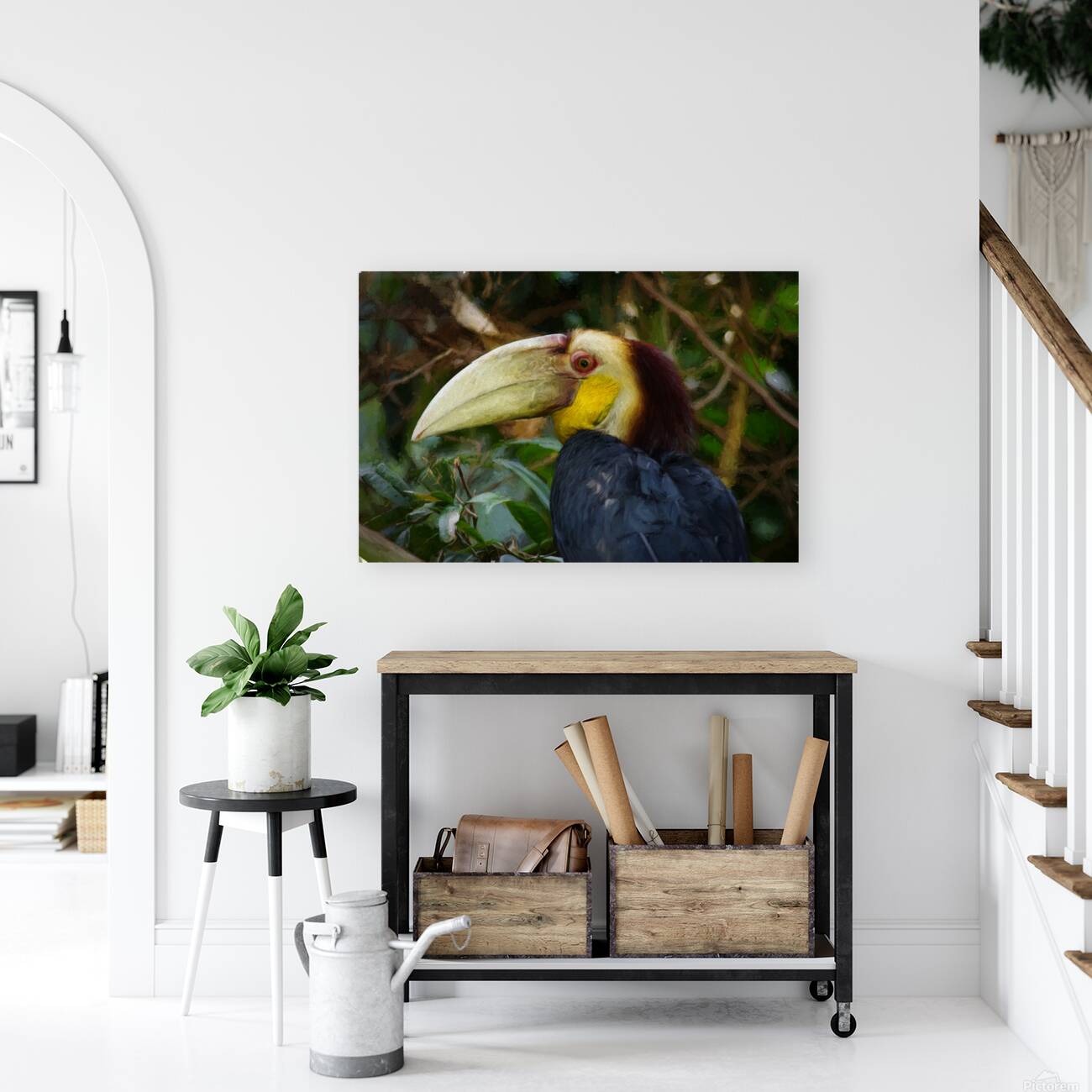 Toucan Reproduction