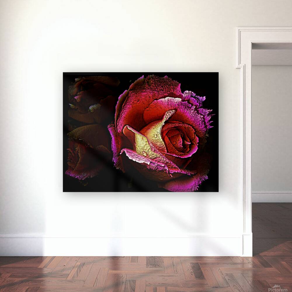 Textured Rose Reproduction