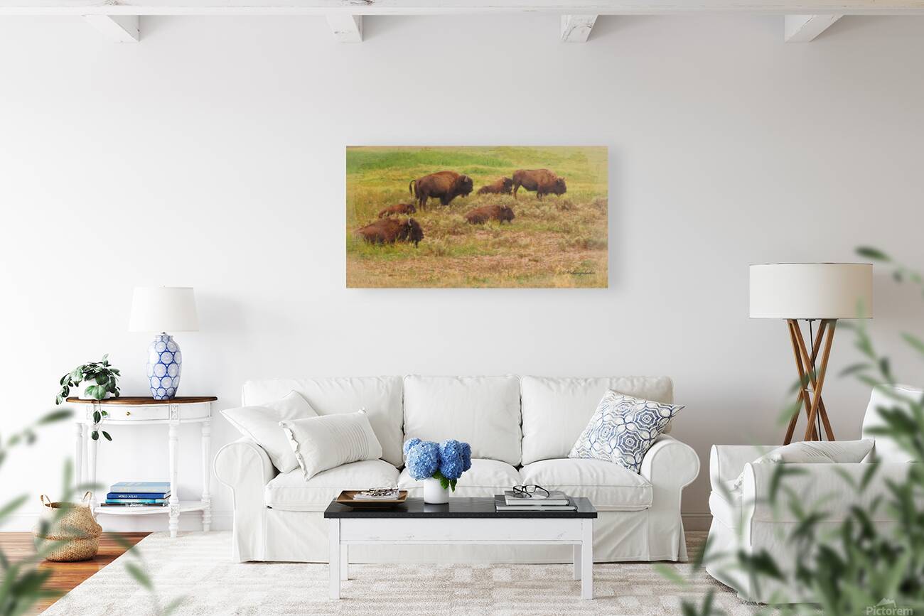 Bison Herd Reproduction