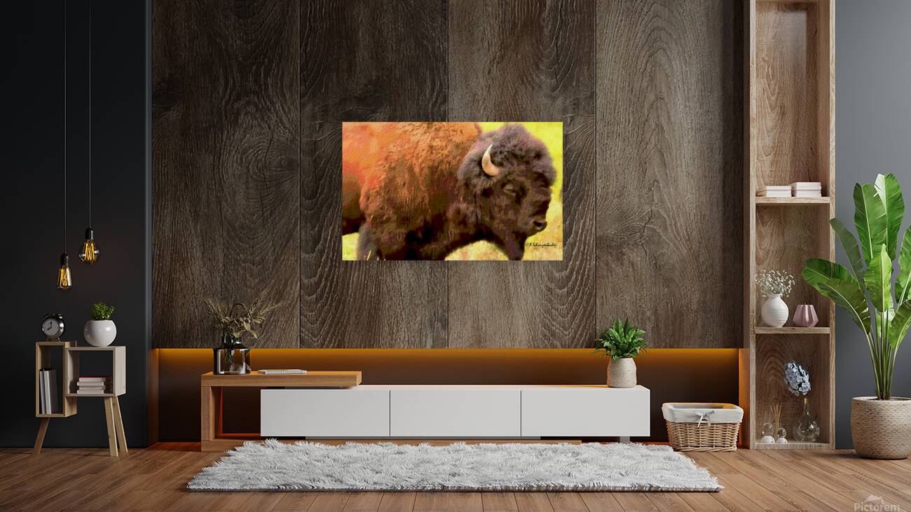 Bison Headshot Reproduction