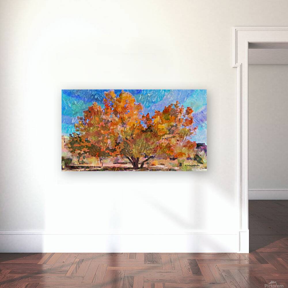 Box Elder Maple Tree Reproduction