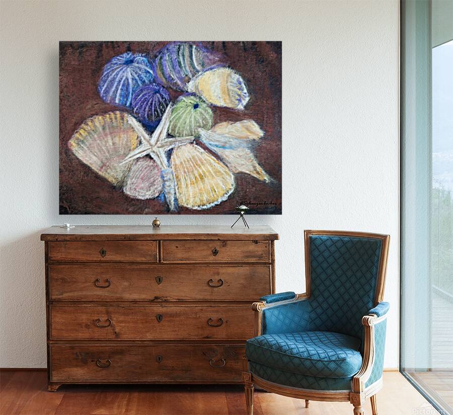 Sea Shells Reproduction
