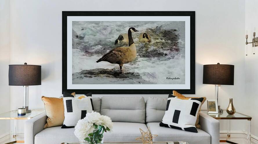 Canadian Geese Reproduction