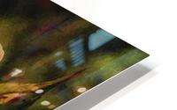 Orange Delight HD Metal print