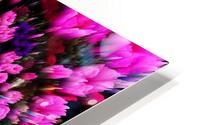 Getting Lost in Pink HD Metal print