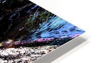 Looking inside out HD Metal print