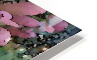 In the pink HD Metal print