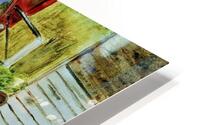 Forgotten HD Metal print