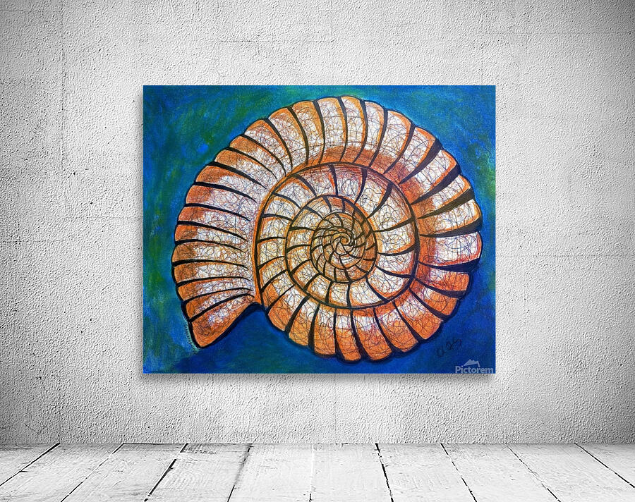 Shell Wall Preview