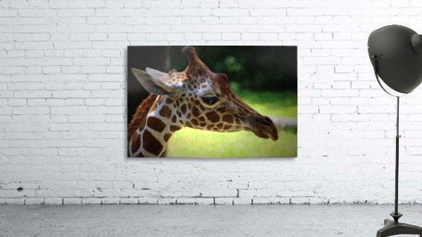 Giraffe  Wall Preview
