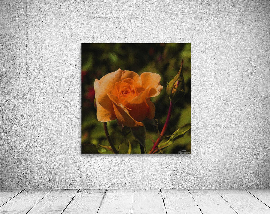 Orange Delight Wall Preview