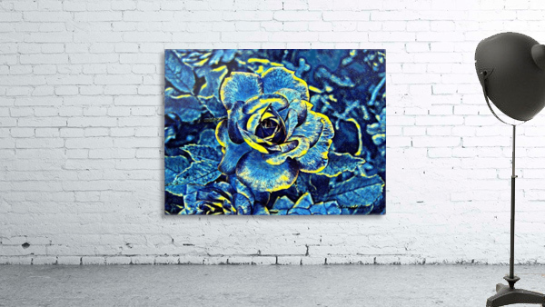 Blue Rose Wall Preview