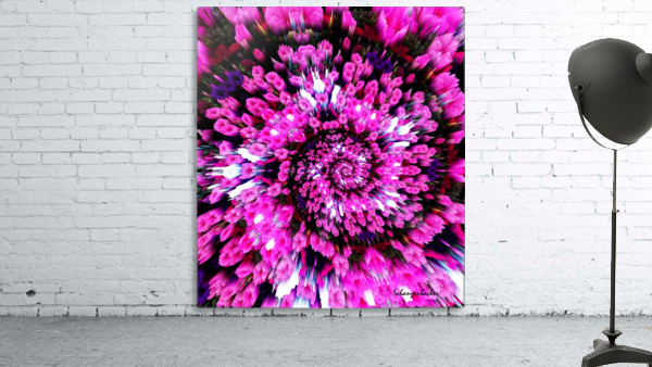 Getting Lost in Pink Wall Preview